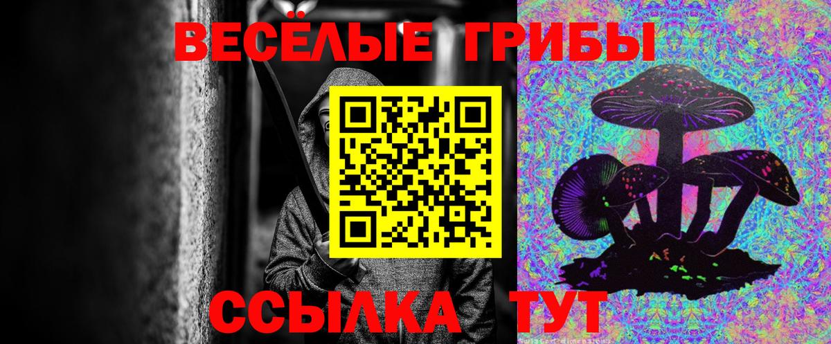 Псилоцибиновые грибы Cubensis Чехов